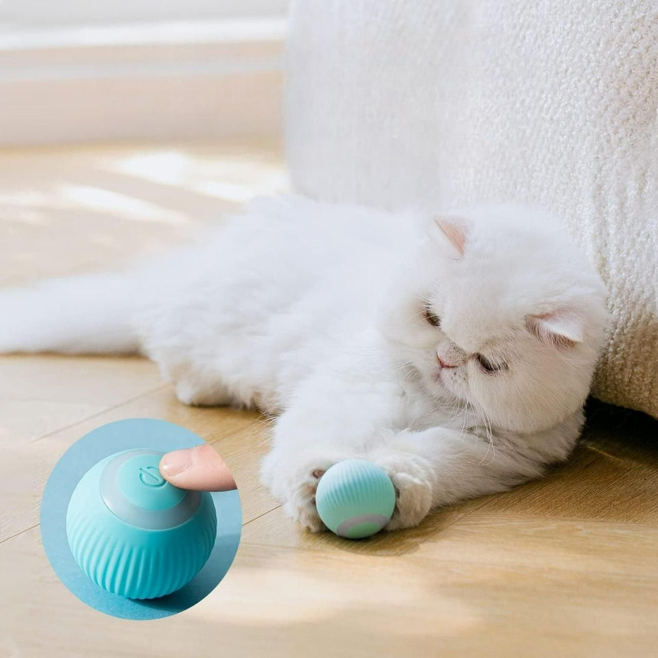 Rechargeable Rotating Cat Toy Ball with LED