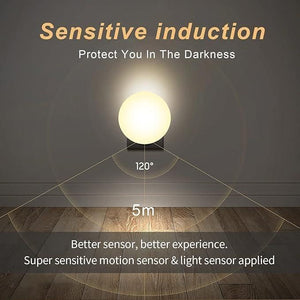 Motion Sensor Light