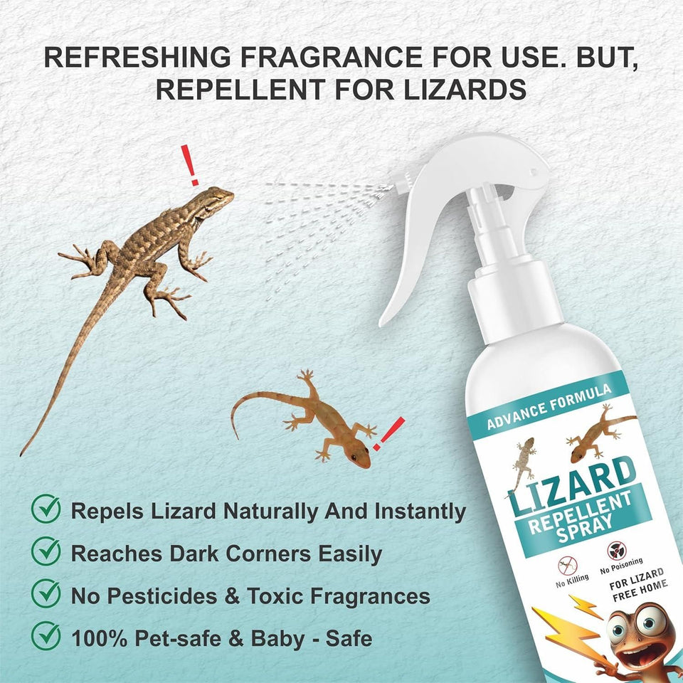 Home Spray Pest Control (2 Pack 250ML)