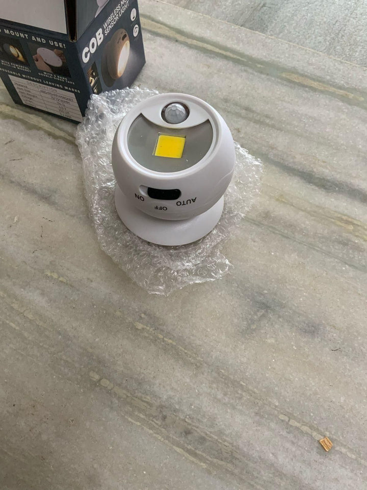 Motion Sensor Light