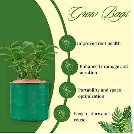 Organic Mix Varieties 100 Pices Seeds With 5 Pieces Grow Bag