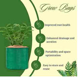 Organic Mix Varieties 100 Pices Seeds With 5 Pieces Grow Bag