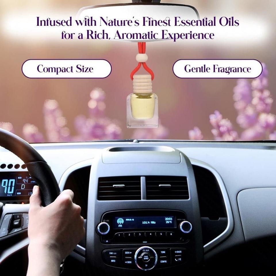 Hanging Car Assorted Perfume Pods