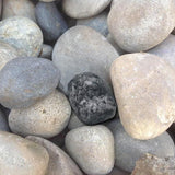 Rock with hidden compartment