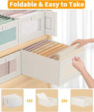 Storage Container (2 Pack)