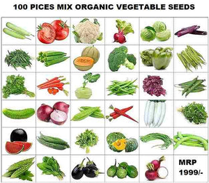 Organic Mix Varieties 100 Pices Seeds With 5 Pieces Grow Bag