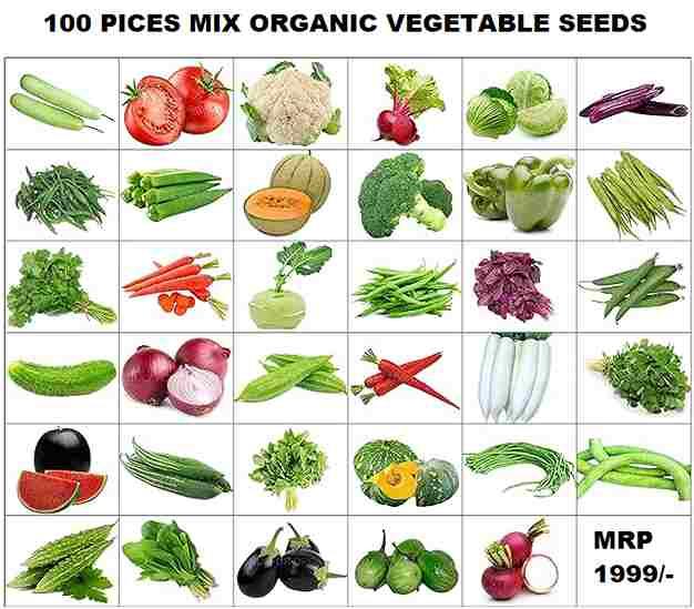 Organic Mix Varieties 100 Pices Seeds With 5 Pieces Grow Bag