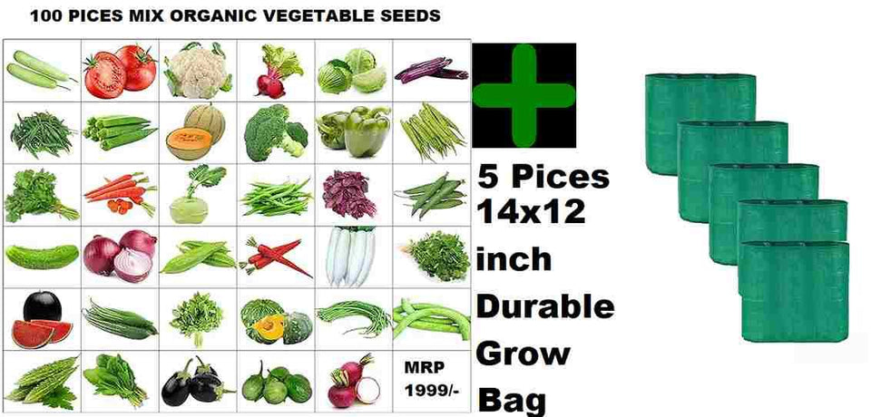Organic Mix Varieties 100 Pices Seeds With 5 Pieces Grow Bag
