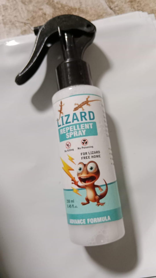 Home Spray Pest Control (2 Pack 250ML)