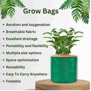 Organic Mix Varieties 100 Pices Seeds With 5 Pieces Grow Bag