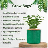 Organic Mix Varieties 100 Pices Seeds With 5 Pieces Grow Bag