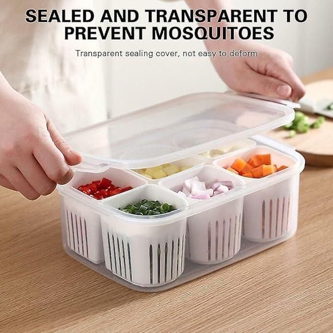 Food Storage Box With Lid and 6 areas