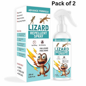 Home Spray Pest Control (2 Pack 250ML)