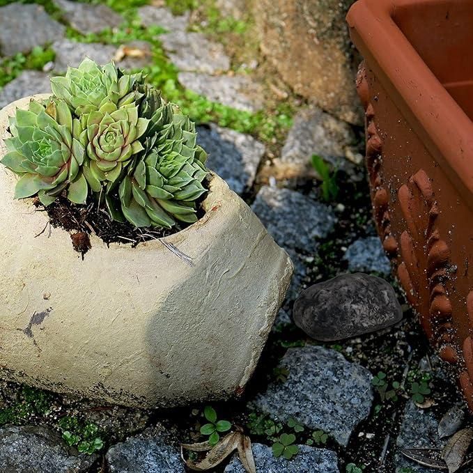 Rock with hidden compartment