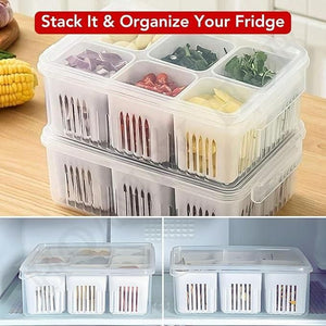 Food Storage Box With Lid and 6 areas