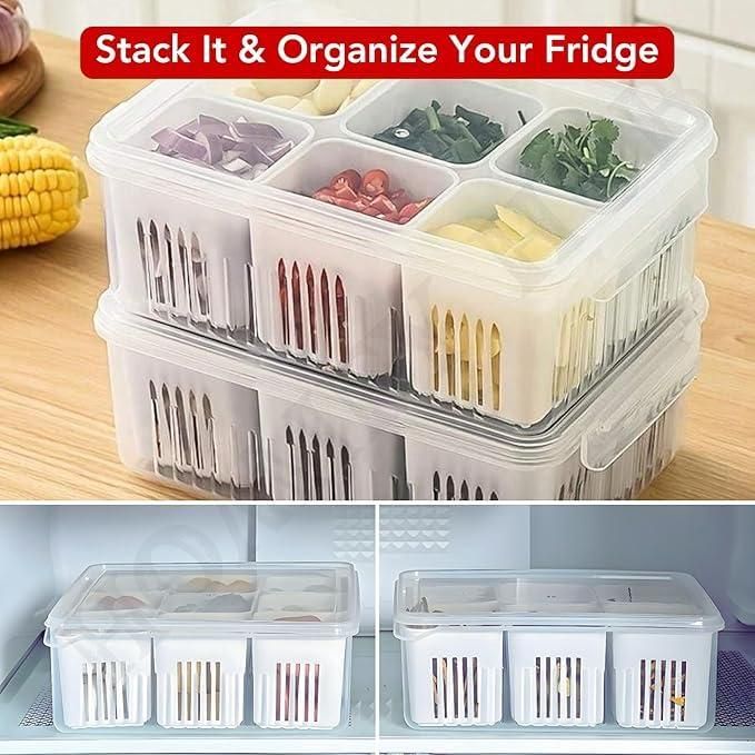 Food Storage Box With Lid and 6 areas