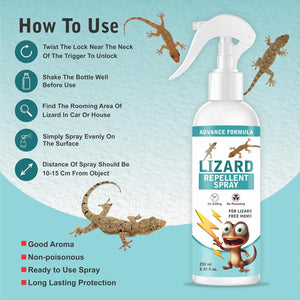 Home Spray Pest Control (2 Pack 250ML)