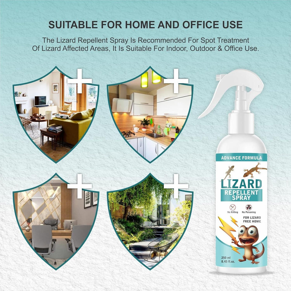 Home Spray Pest Control (2 Pack 250ML)