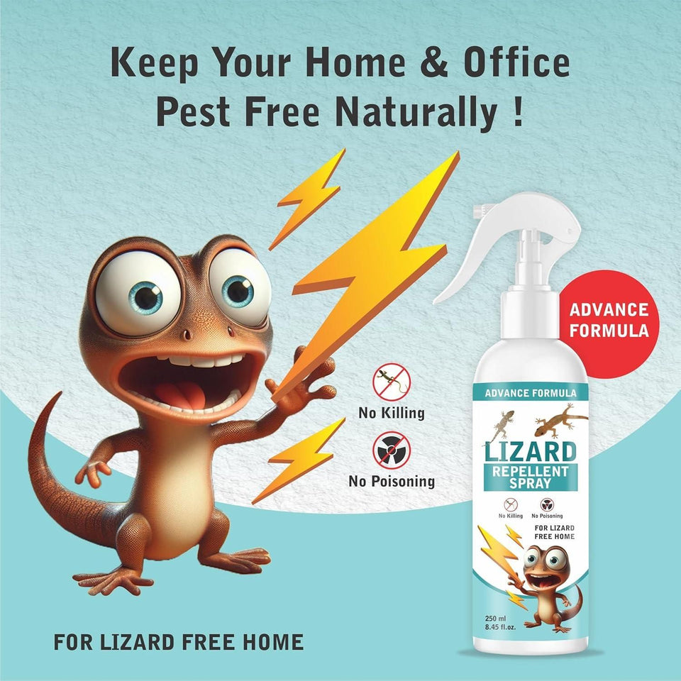 Home Spray Pest Control (2 Pack 250ML)